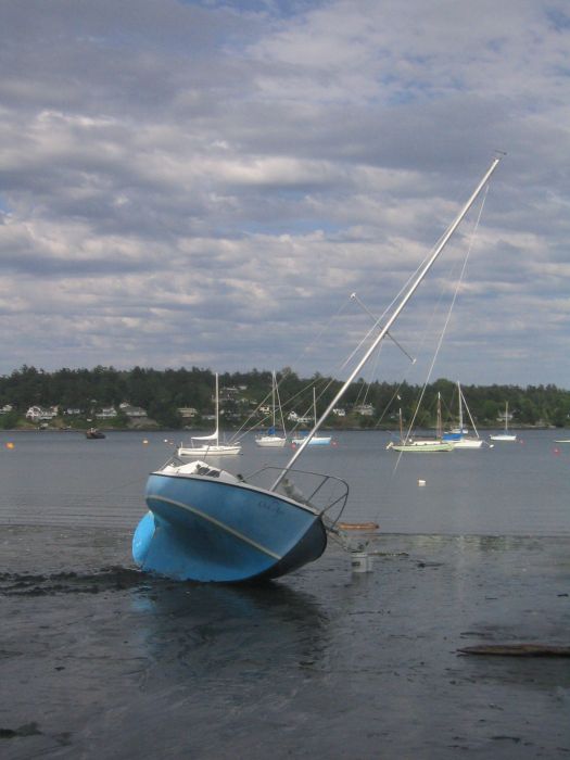 gal/2006-05-05 Careening/IMG_3182.jpg